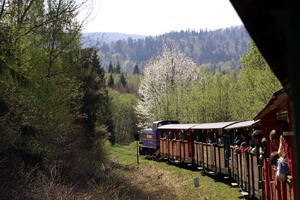 Výletní vlak se motá údolíčkem